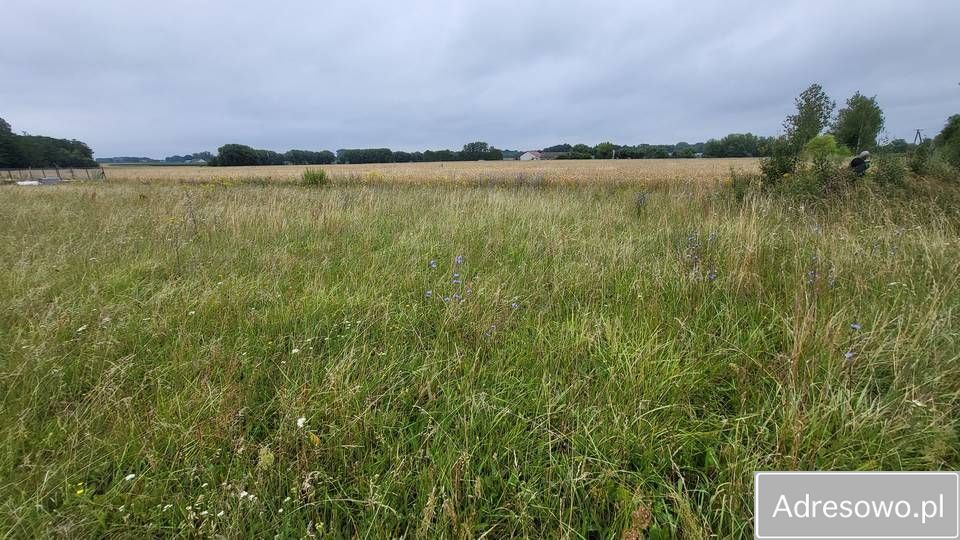 Działka budowlana Kamionna. Zdjęcie 8