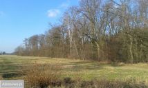 Działka budowlana Jarantów-Kolonia. Zdjęcie 2