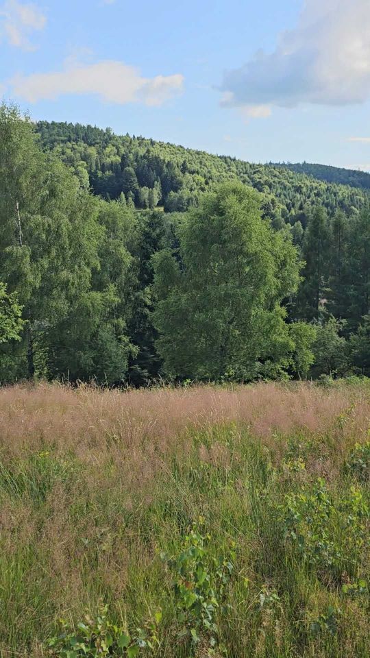 Działka budowlana Kocierz Rychwałdzki. Zdjęcie 4