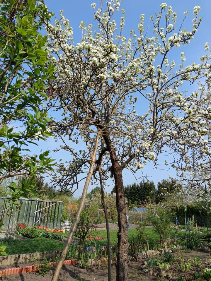 Działka rod Niekłonice. Zdjęcie 3