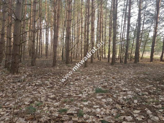 Działka budowlana Bieniewiec. Zdjęcie 5