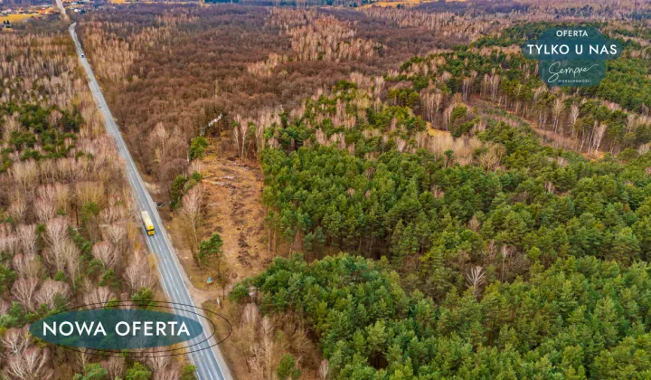 Działka leśna Załuże