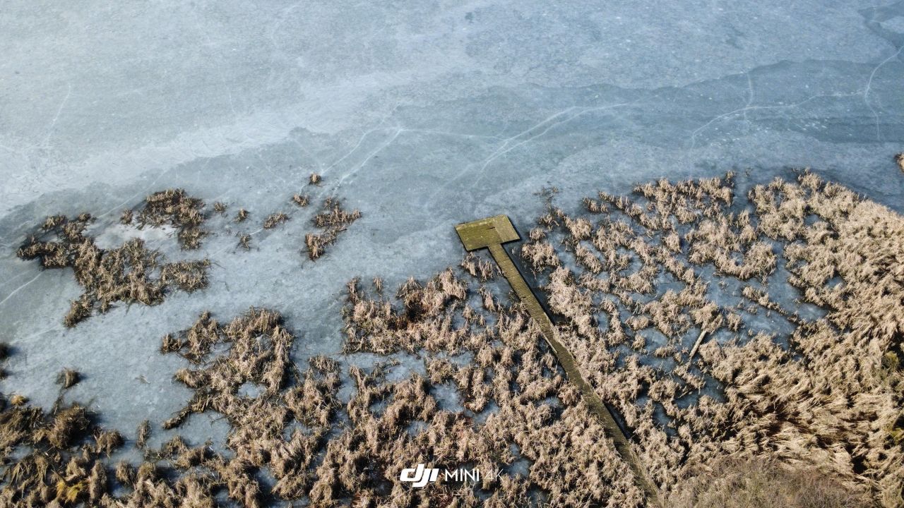 Działka rekreacyjna Lubieniec. Zdjęcie 12