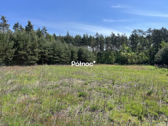 Działka rolno-budowlana Tymowa. Zdjęcie 16