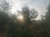 Działka rolna Kępina. Zdjęcie 3