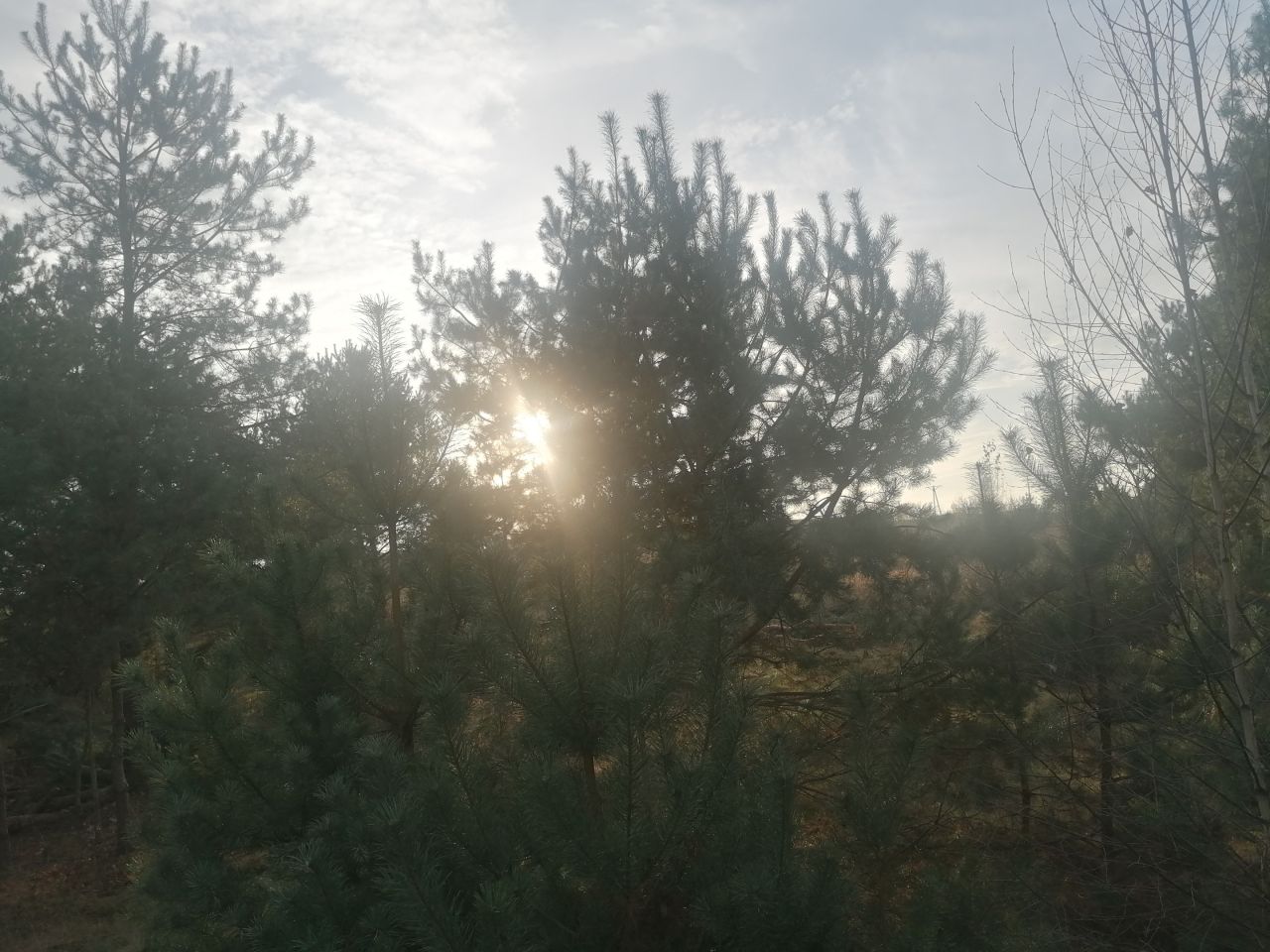 Działka rolna Kępina. Zdjęcie 4