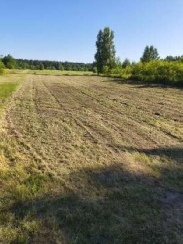 Działka budowlana Borzęcin Duży Borki, ul. Relaksowa. Zdjęcie 3