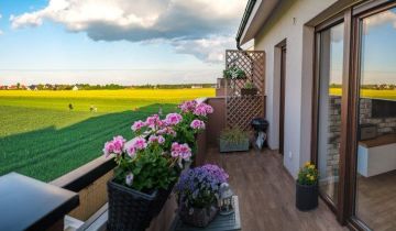 Mieszkanie 3-pokojowe Wiry, ul. Poznańska