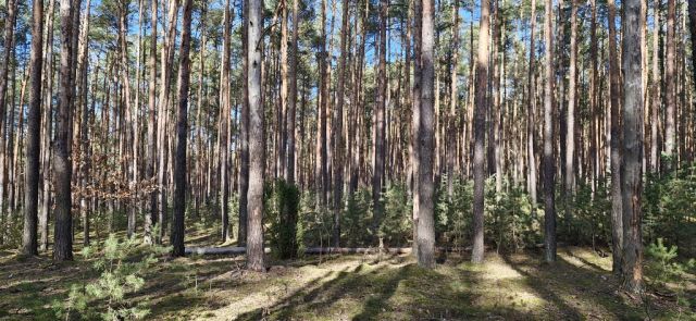 Działka siedliskowa Osiedle Wilga. Zdjęcie 2