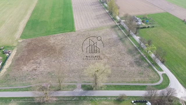 Działka inwestycyjna Dębowiec. Zdjęcie 6