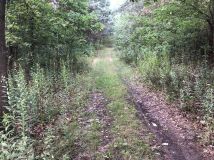 Działka budowlana Ostrowik, Marsa. Zdjęcie 3