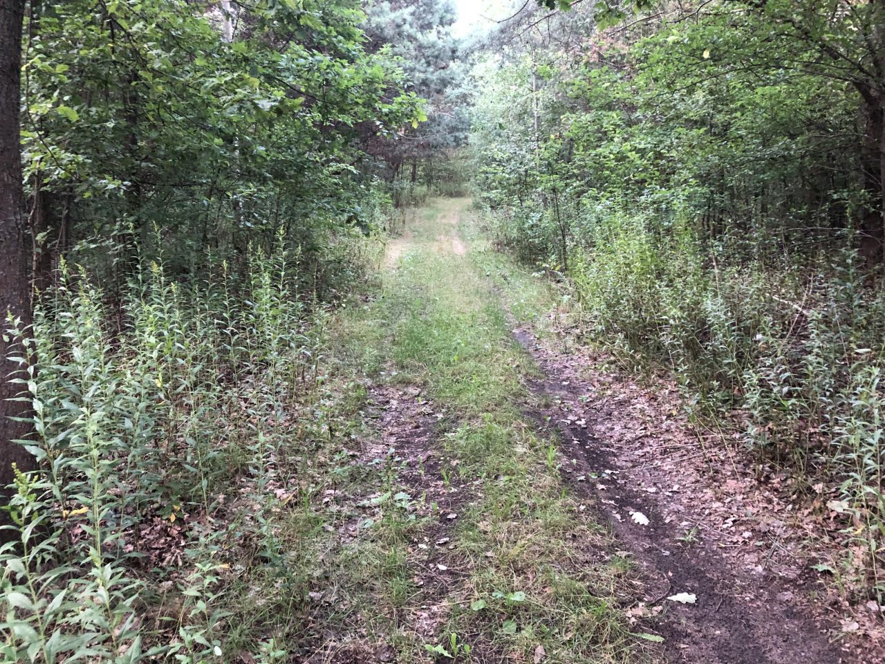 Działka budowlana Ostrowik, Marsa. Zdjęcie 4