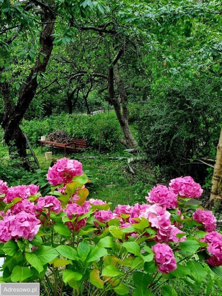 dom szeregowy, 4 pokoje Gdynia Redłowo, ul. Powstania Śląskiego. Zdjęcie 17