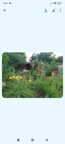 Działka rod Radom, ul. Godowska. Zdjęcie 1