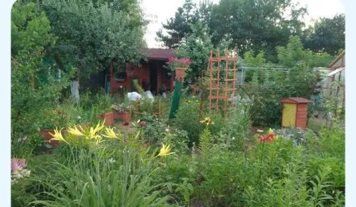 Działka rod Radom, ul. Godowska