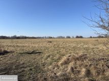 Działka inwestycyjna Modlimowo. Zdjęcie 3