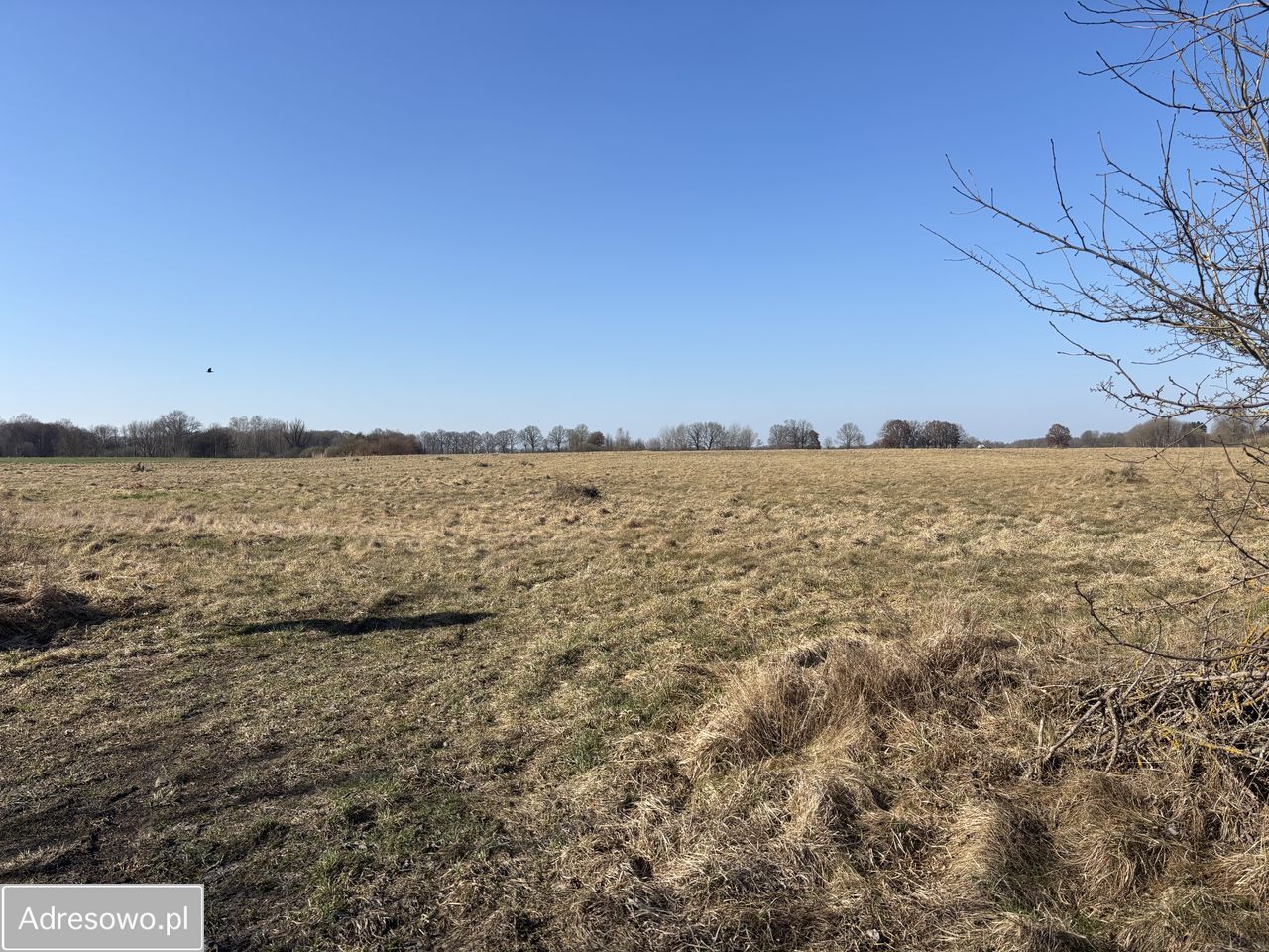 Działka inwestycyjna Modlimowo. Zdjęcie 4