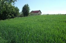 Działka rolno-budowlana Osiek, ul. Główna. Zdjęcie 2