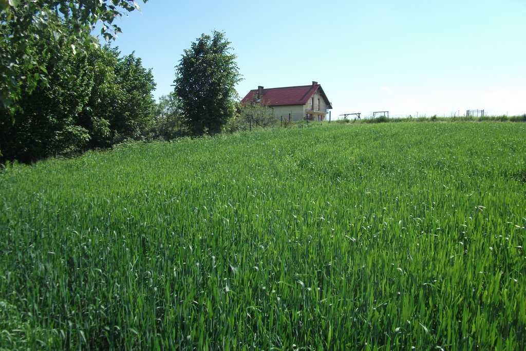 Działka rolno-budowlana Osiek, ul. Główna. Zdjęcie 3