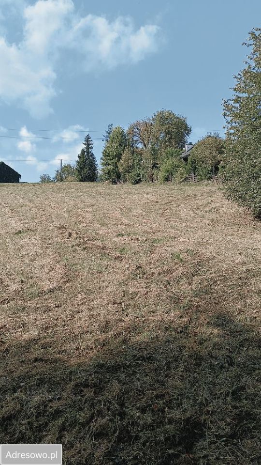 Działka budowlana Głogoczów. Zdjęcie 7