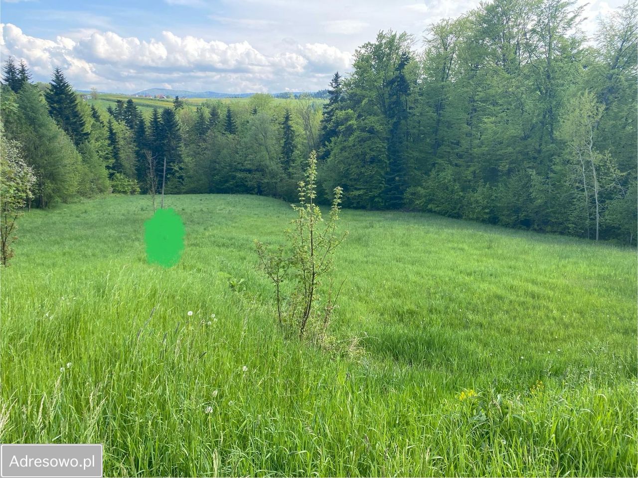 Działka budowlana Cieniawa. Zdjęcie 5