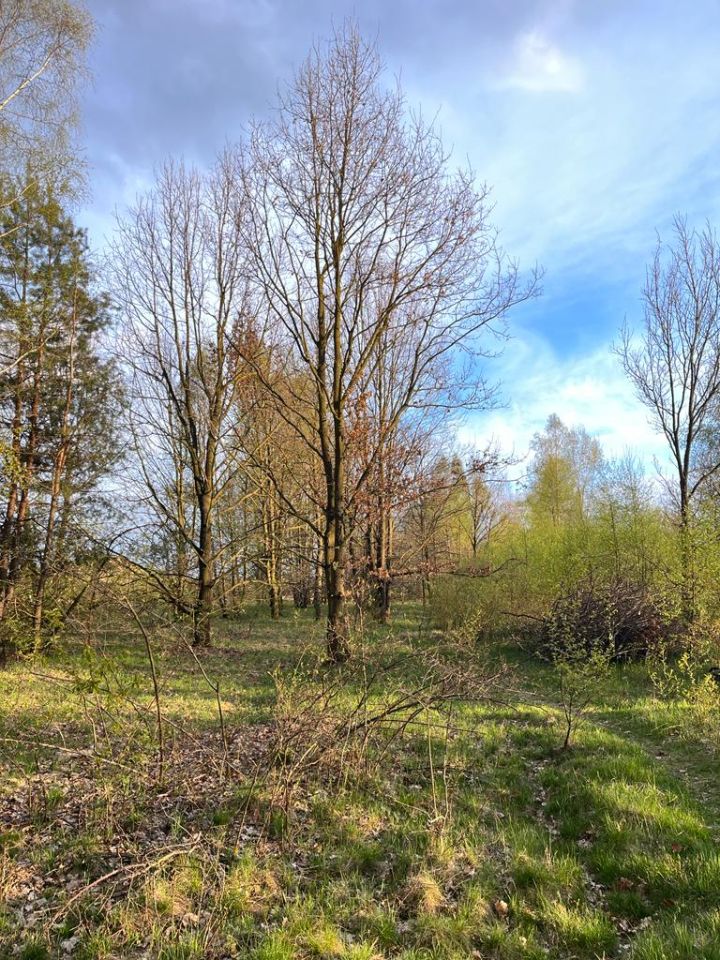 Działka rolno-budowlana Częstochowa Gnaszyn Górny, ul. Kolorowa. Zdjęcie 4