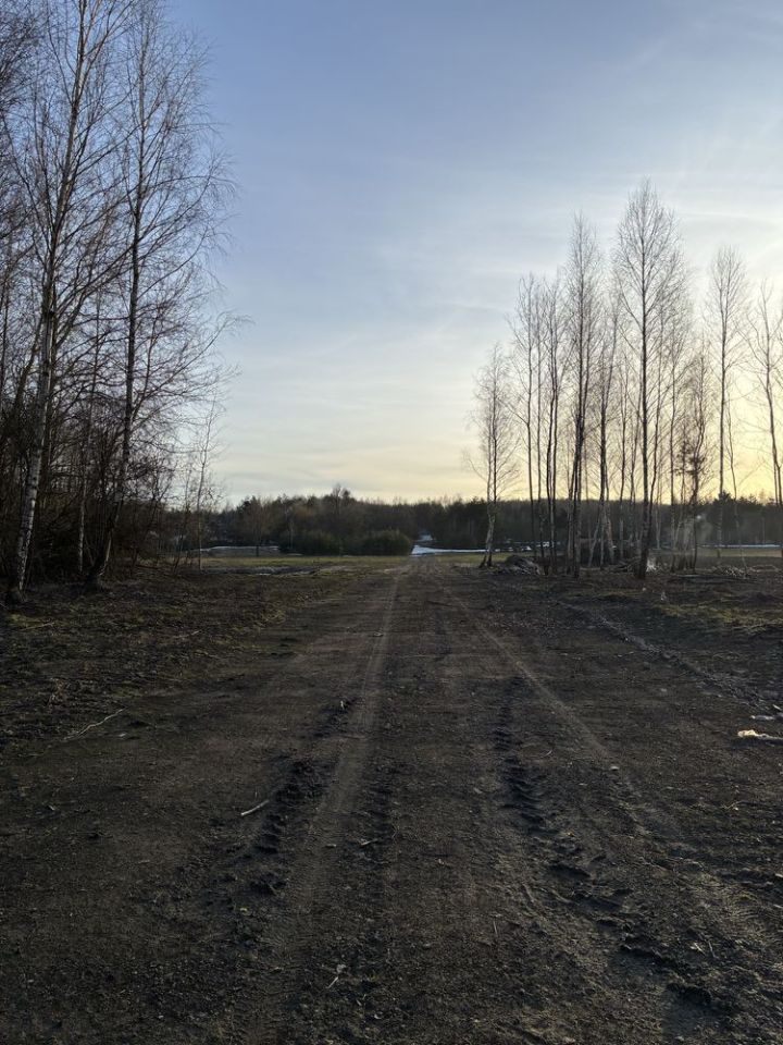 Działka budowlana Lipsko-Polesie. Zdjęcie 4