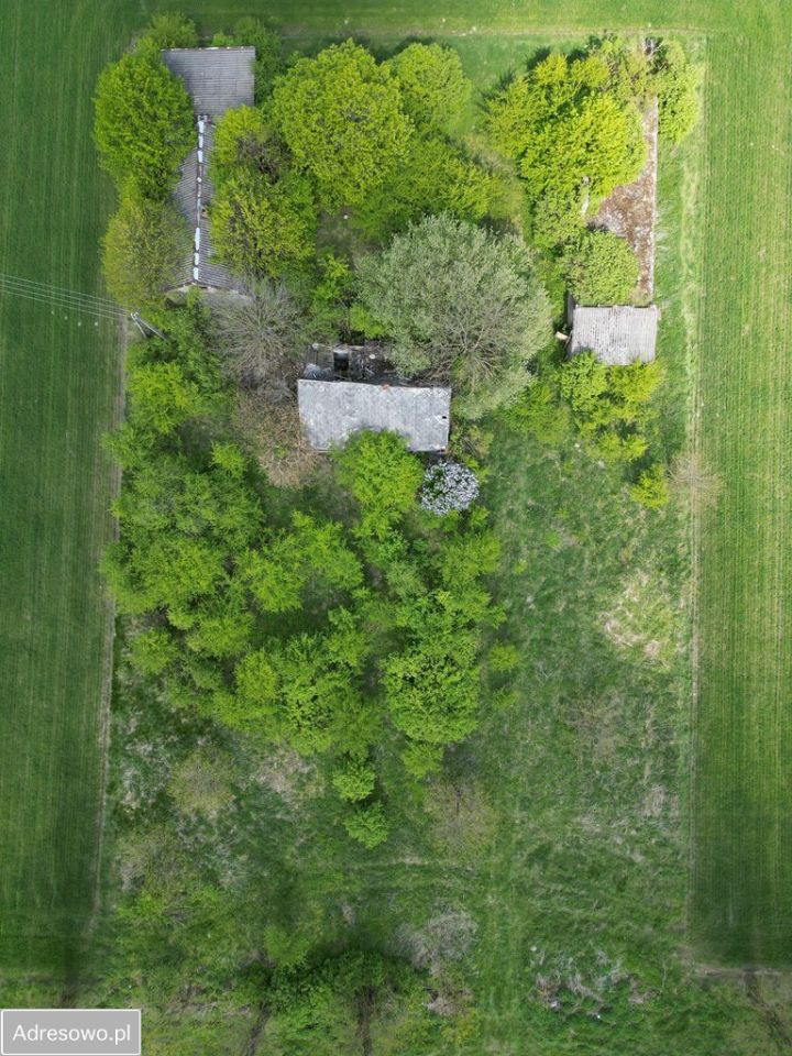 Działka budowlana Bulkowo. Zdjęcie 3