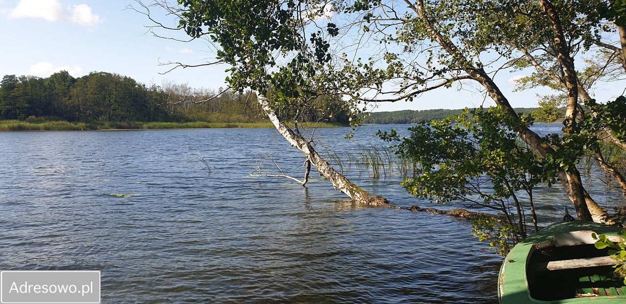 Działka rekreacyjna Perlino. Zdjęcie 16