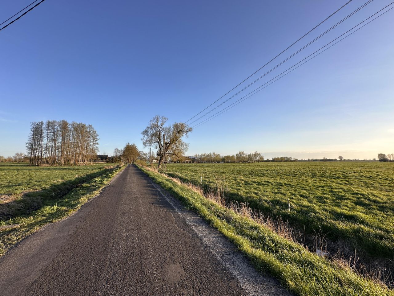 Działka budowlana Łącznica. Zdjęcie 2