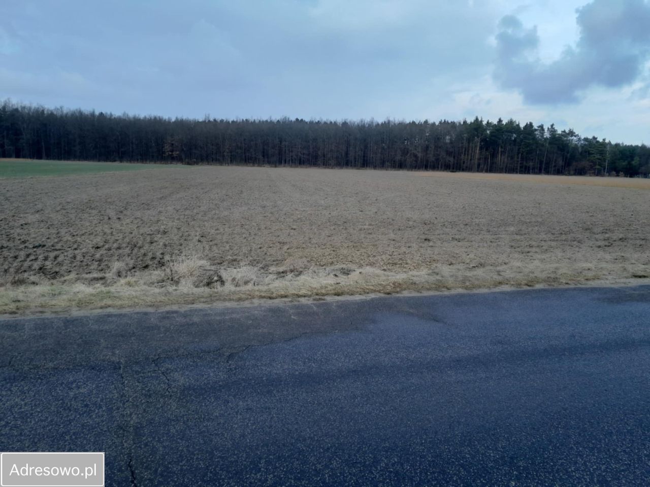 Działka rolno-budowlana Nadole. Zdjęcie 6