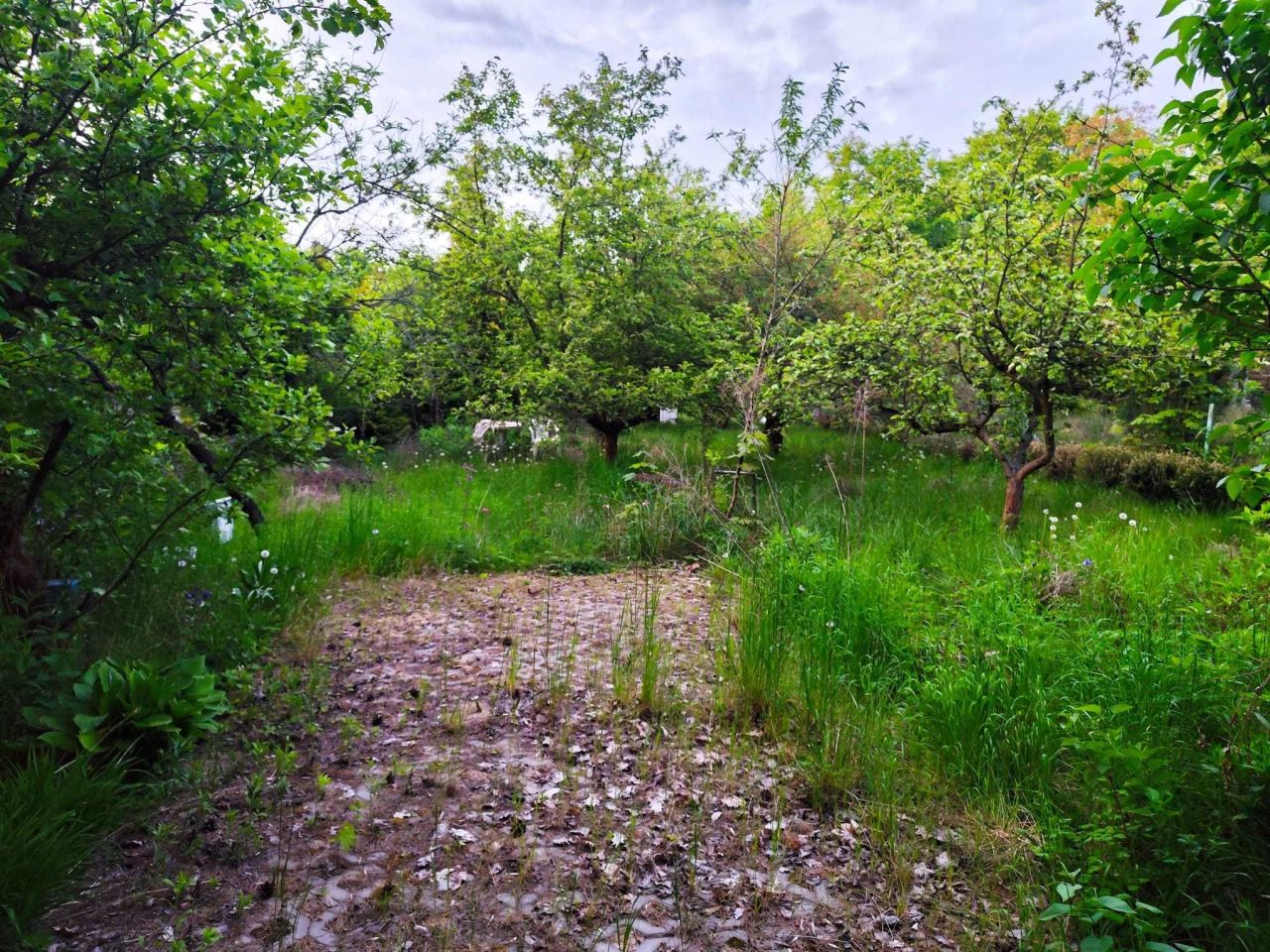 Działka budowlana Skrzynka