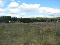 Działka rolno-budowlana Strękowizna. Zdjęcie 2