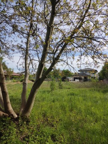 Działka budowlana Borzęcin Mały, ul. Kwiatów Polnych. Zdjęcie 1