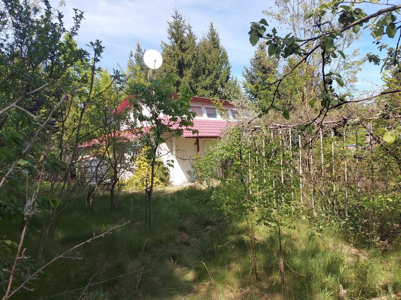 dom letniskowy Orzechów-Kolonia. Zdjęcie 3