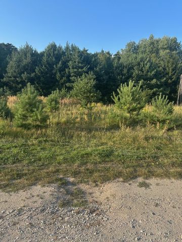 Działka budowlana Bądzyń, ul. ks. Brzóski. Zdjęcie 4