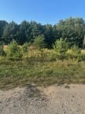 Działka budowlana Bądzyń, ul. ks. Brzóski. Zdjęcie 3