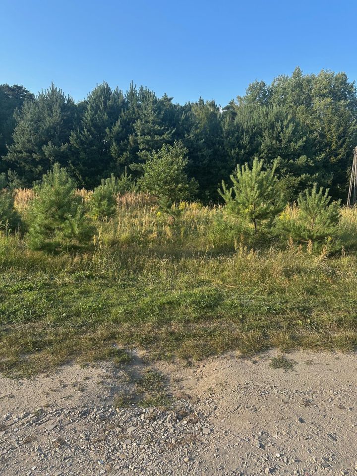 Działka budowlana Bądzyń, ul. ks. Brzóski. Zdjęcie 4