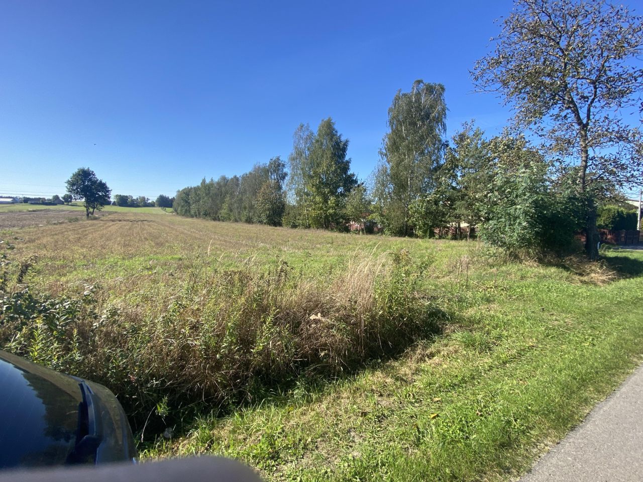 Działka rolna Stawki Zofiówka. Zdjęcie 4