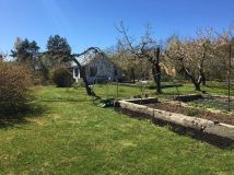 Działka rod Koszalin, ul. Holenderska. Zdjęcie 3