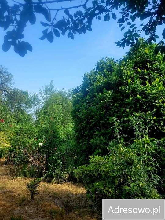 Działka rod Kraków Płaszów, ul. Nowohucka. Zdjęcie 6