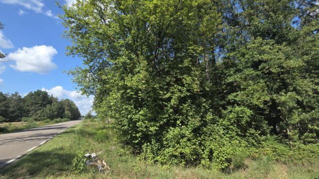 Działka budowlana Zasonie. Zdjęcie 5