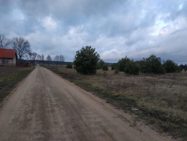 Działka rolna Brok, ul. Przychód. Zdjęcie 1
