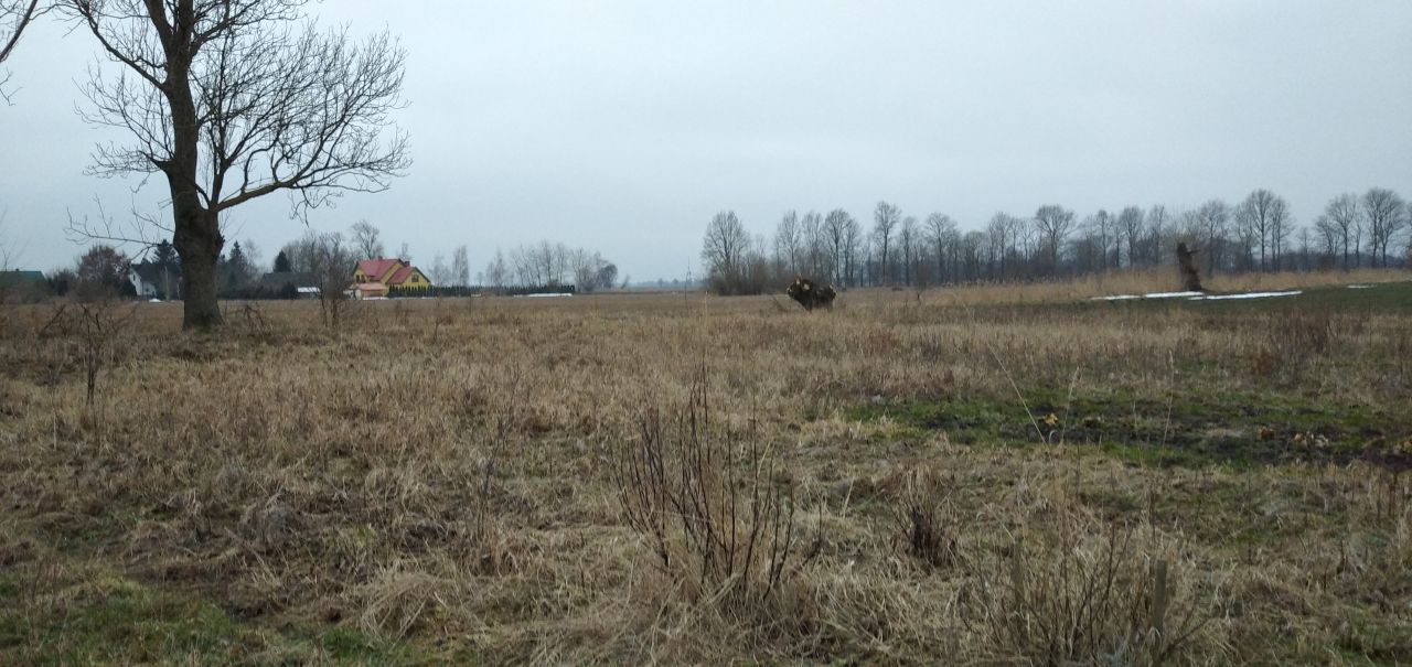 Działka rolno-budowlana Błotnik, ul. Żuławska. Zdjęcie 5