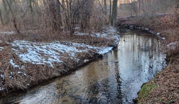 Działka budowlana Dyszów, ul. Bolesława Prusa
