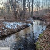 Działka budowlana Dyszów, ul. Bolesława Prusa. Zdjęcie 1