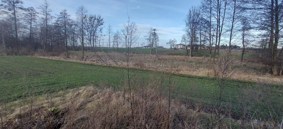 Działka rolno-budowlana Damianów. Zdjęcie 3