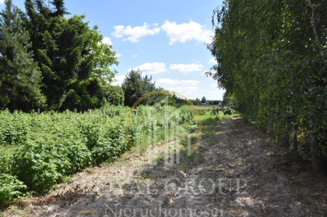 Działka budowlana Lubartów. Zdjęcie 1