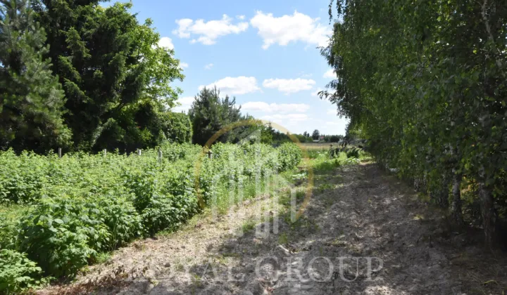 Działka budowlana Lubartów