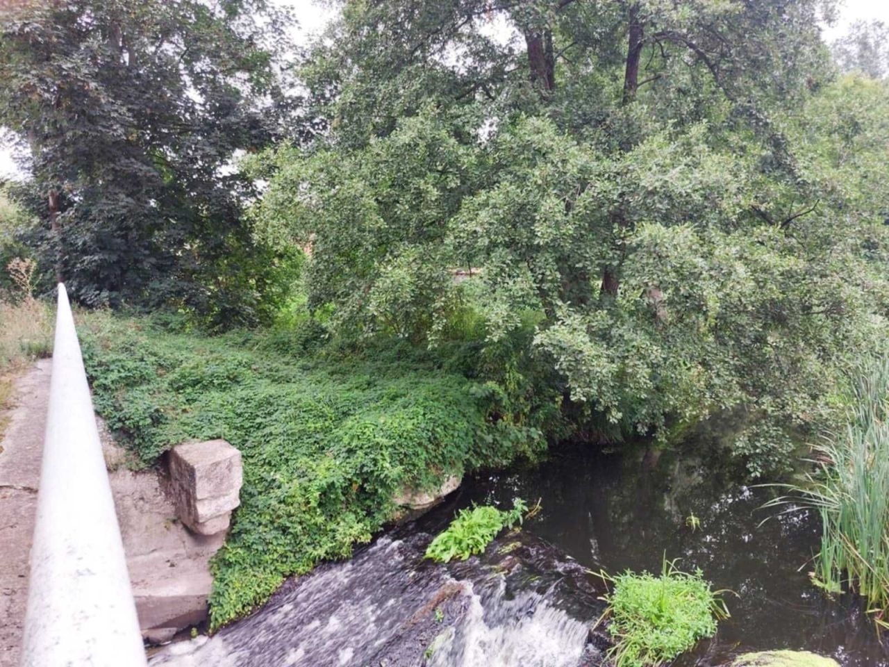 Działka rekreacyjna Mieścisko. Zdjęcie 4